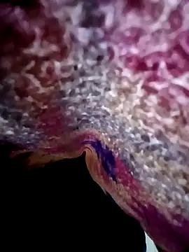 Snapshot of morenogts69 chatting on 10.24.25 morenogts69 online show from 10.24.25