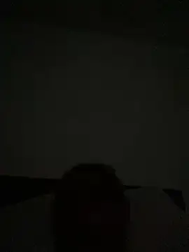 Snapshot of u091 chatting on 01.27.25 u091 online show from 01.27.25