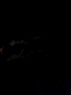 Snapshot of Wildherb244 chatting on 12.04.24 Wildherb244 online show from 12.04.24