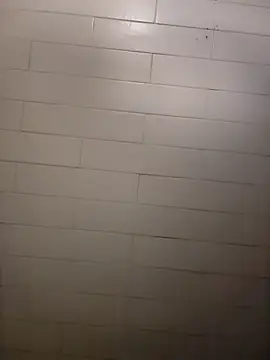 Snapshot of Wildherb244 chatting on 12.21.24 Wildherb244 online show from 12.21.24