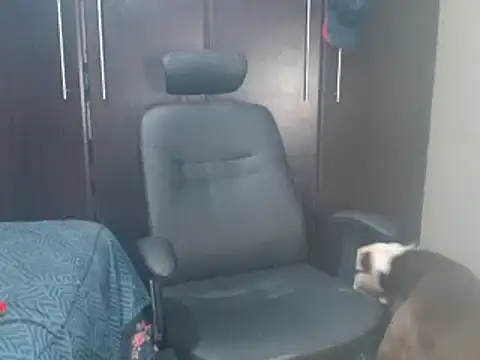 Snapshot of blzed420 chatting on 02.15.25 blzed420 online show from 02.15.25