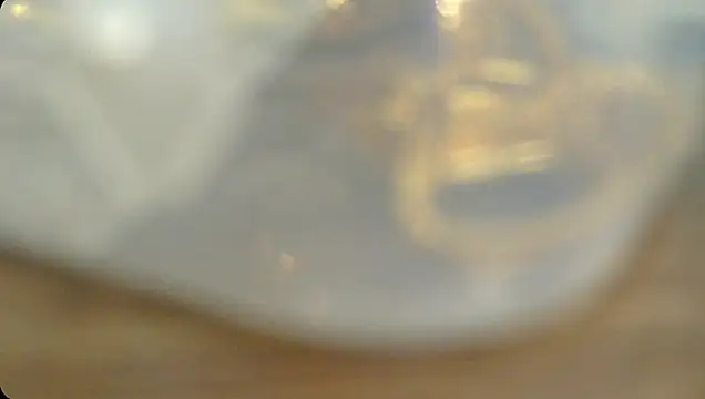 Snapshot of Rashisharma chatting on 10.14.25 Rashisharma online show from 10.14.25