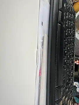 Snapshot of byakkotorra chatting on 03.06.25 byakkotorra online show from 03.06.25