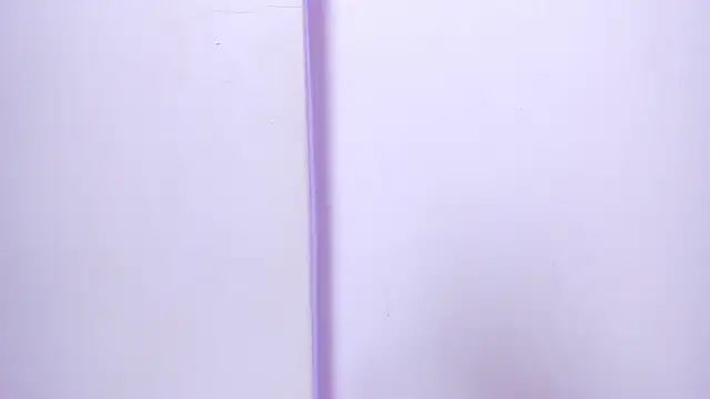 Snapshot of celestelewis chatting on 02.27.25 celestelewis online show from 02.27.25