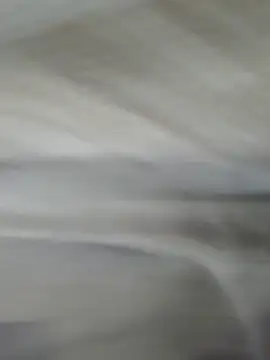 Snapshot of lm279 chatting on 11.01.25 lm279 online show from 11.01.25