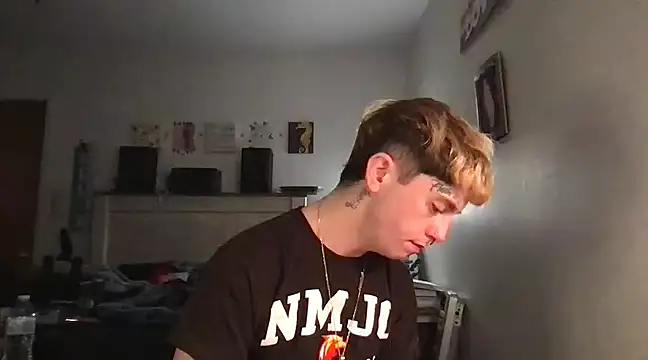 Snapshot of twentywithafelonyy chatting on 03.04.25 twentywithafelonyy online show from 03.04.25