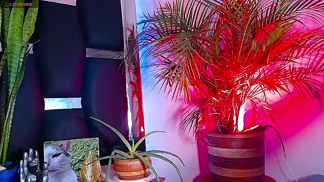 Snapshot of RyanRizzo chatting on 01.22.25 RyanRizzo online show from 01.22.25