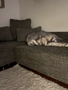 Snapshot of godspot_ chatting on 10.30.25 godspot online show from 10.30.25