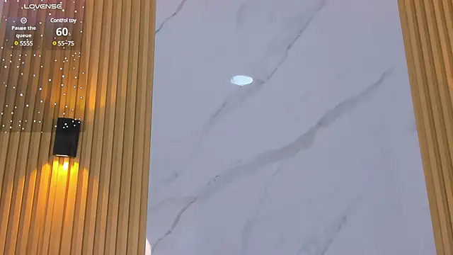 Snapshot of miss_Ari chatting on 03.04.25 miss Ari online show from 03.04.25