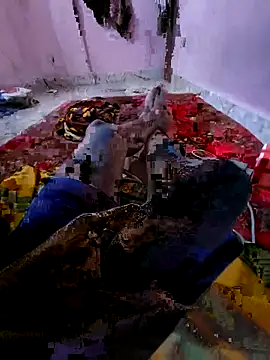 Snapshot of Ssdhaka11 chatting on 11.06.25 Ssdhaka11 online show from 11.06.25