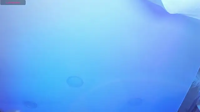 Snapshot of AHRI_LEE chatting on 12.21.24 AHRI LEE online show from 12.21.24