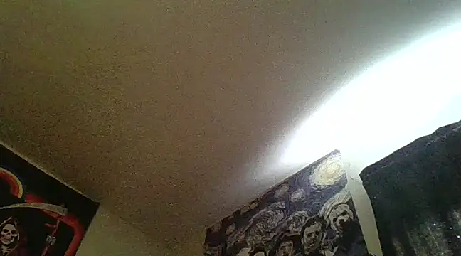 Snapshot of clitstitsandbongrips chatting on 02.13.25 clitstitsandbongrips online show from 02.13.25