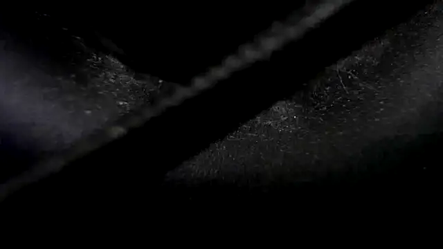 Snapshot of Niquitasparkles chatting on 01.23.25 Niquitasparkles online show from 01.23.25