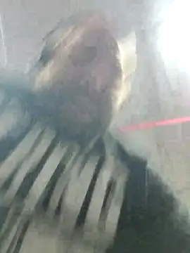 Snapshot of Strong_Bear89 chatting on 12.02.24 Strong Bear89 online show from 12.02.24