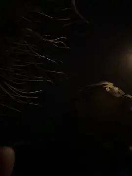 Snapshot of tipico0799 chatting on 03.01.25 tipico0799 online show from 03.01.25