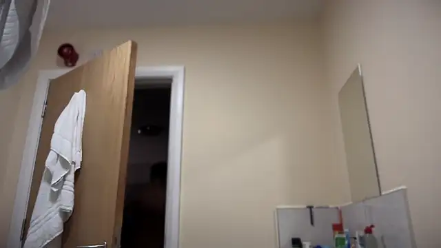 Snapshot of TowaFreespirit chatting on 02.17.25 TowaFreespirit online show from 02.17.25