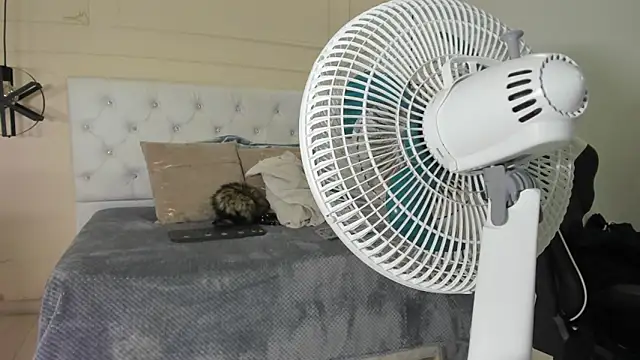 Snapshot of Slut_Milf_ chatting on 01.23.25 Slut Milf  online show from 01.23.25