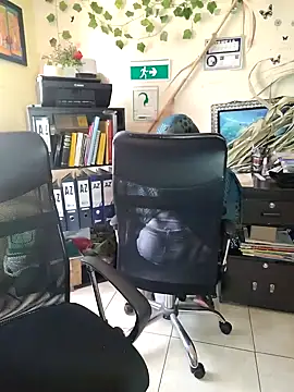 NAJWA-ARAB online show from 01.15.25