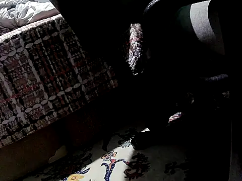O Black123 online show from 10.12.25