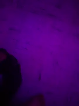 Snapshot of Argento14 chatting on 11.03.25 Argento14 online show from 11.03.25