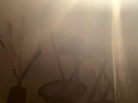 Snapshot of mesetti chatting on 12.08.24 mesetti online show from 12.08.24