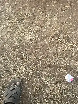 Snapshot of tamil000000 chatting on 03.10.25 tamil000000 online show from 03.10.25