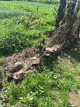 Snapshot of poision51 chatting on 02.23.25 poision51 online show from 02.23.25