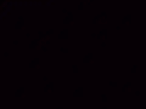 Snapshot of Nailahex chatting on 11.05.25 Nailahex online show from 11.05.25