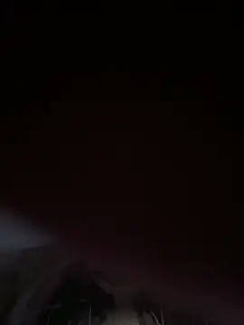 Snapshot of shyfr34k chatting on 12.29.24 shyfr34k online show from 12.29.24