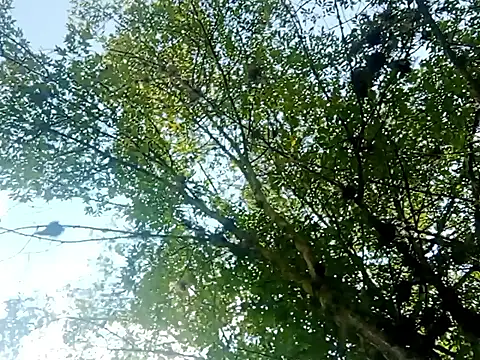 Snapshot of Darly_Gomez chatting on 03.15.25 Darly Gomez online show from 03.15.25