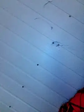 Snapshot of frotasso chatting on 12.12.24 frotasso online show from 12.12.24