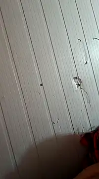 Snapshot of frotasso chatting on 01.01.25 frotasso online show from 01.01.25