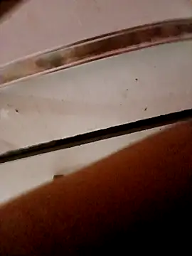 Snapshot of frotasso chatting on 10.23.25 frotasso online show from 10.23.25