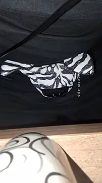 Snapshot of HappyZebra13 chatting on 01.12.25 HappyZebra13 online show from 01.12.25