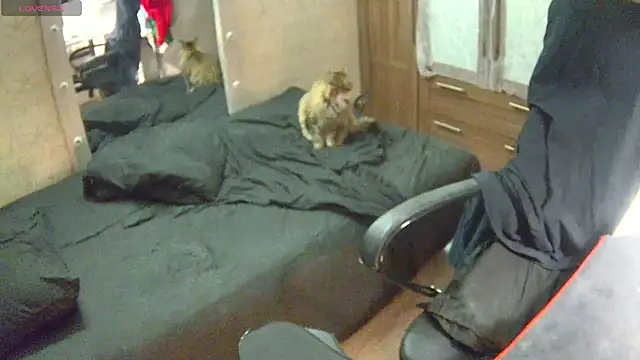 Snapshot of Julia_dolls chatting on 12.14.24 Julia dolls online show from 12.14.24