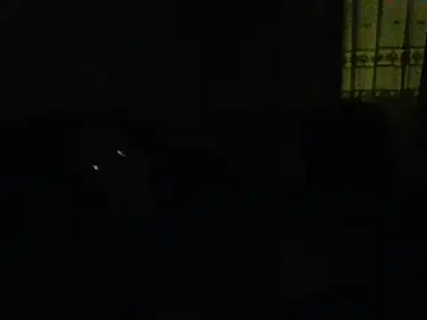 Snapshot of farock chatting on 01.11.25 farock online show from 01.11.25