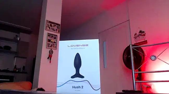 Snapshot of GamerQuinn chatting on 12.18.24 GamerQuinn online show from 12.18.24