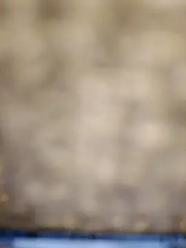 Snapshot of 618fuckupp chatting on 10.27.25 618fuckupp online show from 10.27.25