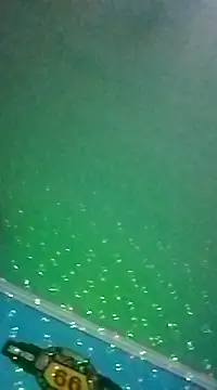 Snapshot of Elrep_tile chatting on 03.11.25 Elrep tile online show from 03.11.25