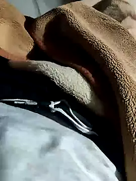 Snapshot of Raja_gamer chatting on 01.11.25 Raja gamer online show from 01.11.25