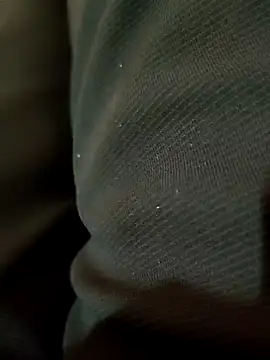 Snapshot of Raja_gamer chatting on 01.12.25 Raja gamer online show from 01.12.25