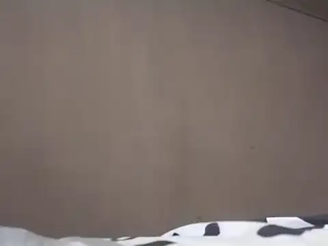 Snapshot of Chandy012 chatting on 03.19.25 Chandy012 online show from 03.19.25