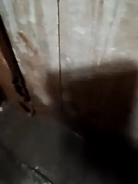 Snapshot of Raj41 chatting on 09.20.25 Raj41 online show from 09.20.25