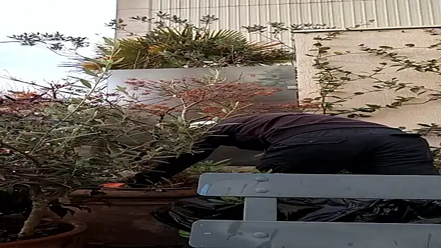 Snapshot of Vyda4 chatting on 11.17.25 Vyda4 online show from 11.17.25