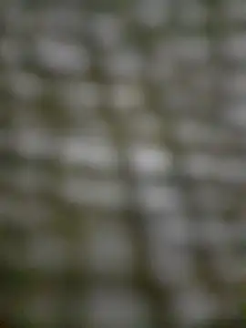 Snapshot of Mineirinho043 chatting on 02.17.25 Mineirinho043 online show from 02.17.25