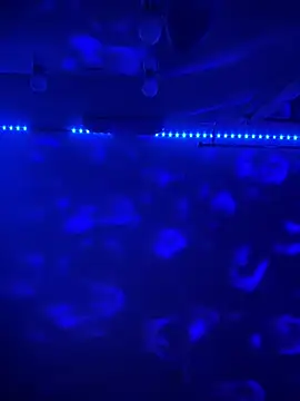 BBSTRING online show from 11.15.25