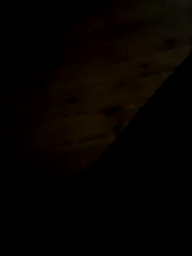 Snapshot of Arabian chatting on 02.11.25 Arabian online show from 02.11.25