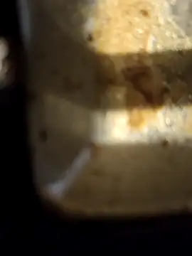 Loly2025 online show from 02.20.25