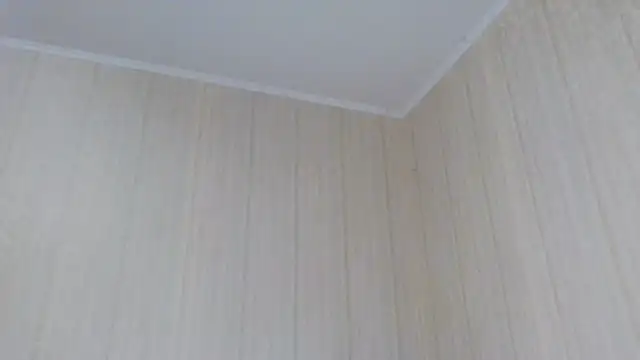 Snapshot of _Black-Panther_ chatting on 10.02.25  Black-Panther  online show from 10.02.25