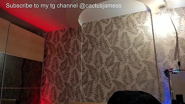 Snapshot of Cactus__James chatting on 10.02.25 Cactus James online show from 10.02.25